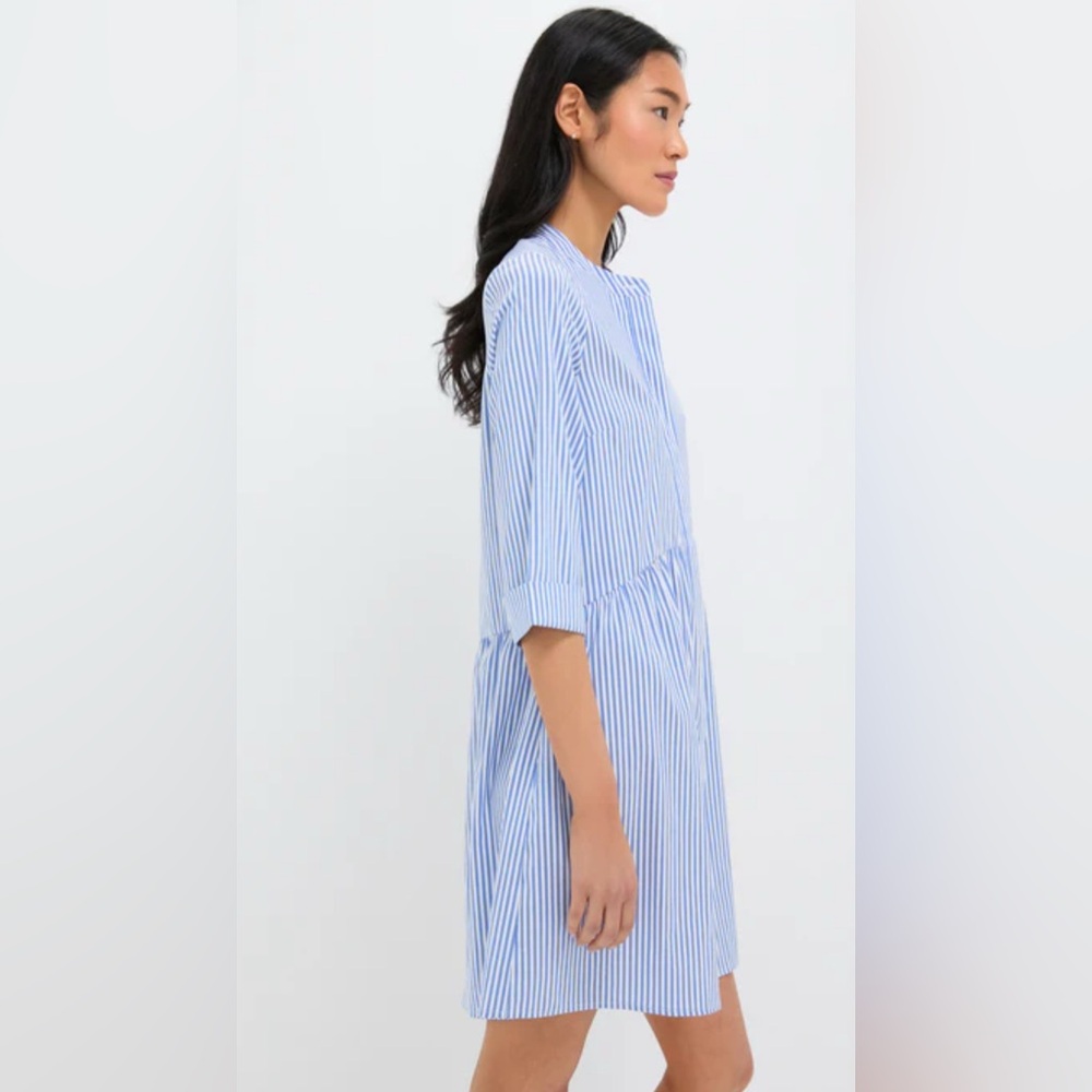 Tuckernuck Striped Button-Down Dress - Picture 8 of 9